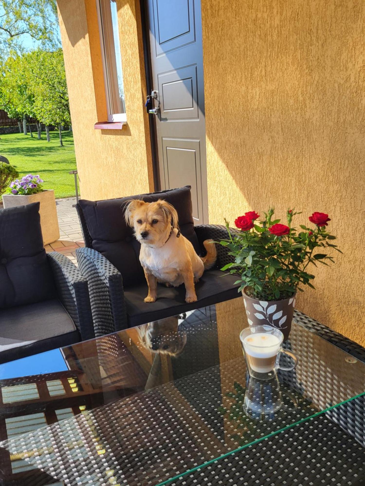 Apartamento Namelis Rugile Druskininkai Exterior foto